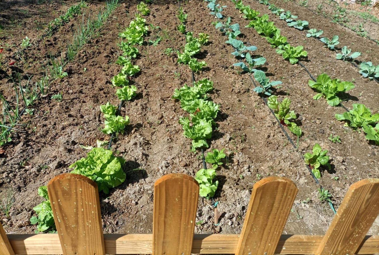 말라가 Tottam Art & Healthy Garden 빌라 외부 사진
